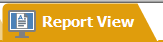 2. Report View Tab